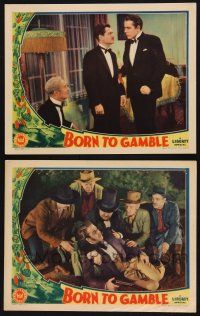 9s856 BORN TO GAMBLE 2 LCs '35 Onslow Stevens, great poker, craps, roulette gambling border art!