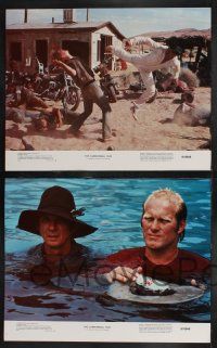9s124 CANNONBALL RUN 8 color 11x14 stills '81 Burt Reynolds, Farrah Fawcett, Roger Moore!