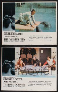 9s680 DAY OF THE DOLPHIN 4 LCs '73 George C. Scott & Trish Van Devere, Mike Nichols