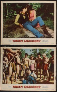 9s785 GREEN MANSIONS 3 LCs '59 Anthony Perkins kissing Audrey Hepburn, in peril with natives!
