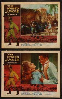 9s319 NAKED JUNGLE 8 LCs R60 Charlton Heston & Eleanor Parker, produced by George Pal!