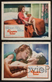 9s549 PUMPKIN EATER 6 LCs '64 Anne Bancroft, Peter Finch, marriage bed isn't always a bed of roses!
