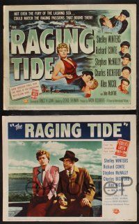 9s356 RAGING TIDE 8 LCs '51 sexy bad girl Shelley Winters, Richard Conte, McNally, Bickford