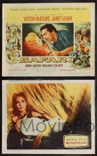 9s376 SAFARI 8 LCs '56 Victor Mature, Janet Leigh, cool images from jungle adventure!