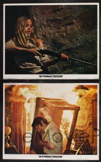 9s410 STRAW DOGS 8 LCs '72 directed by Sam Peckinpah, Dustin Hoffman & Susan George!