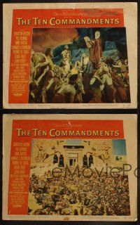 9s748 TEN COMMANDMENTS 4 LCs '56 Cecil B. DeMille classic starring Charlton Heston & Yul Brynner!