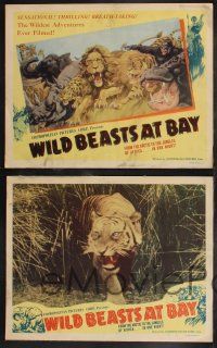 9s456 WILD BEASTS AT BAY 8 LCs '46 from the Arctic to the jungles of Africa in one night!