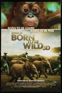 9x125 BORN TO BE WILD advance DS 1sh '11 great image of baby elephants & monkey!