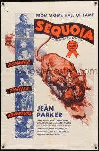9z822 SEQUOIA 1sh R53 pretty Jean Parker in wilderness, art of man attacked by mountain lion!
