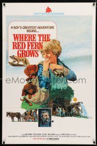 1d823 WHERE THE RED FERN GROWS 1sh '74 great different art of boy & dogs!