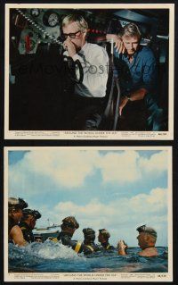 1e257 AROUND THE WORLD UNDER THE SEA 2 color 8x10 stills '66 Lloyd Bridges, David McCallum, diving!