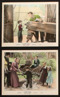 1e034 ALL MINE TO GIVE 10 color 8x10 stills '57 Glynis Johns, Cameron Mitchell & children!