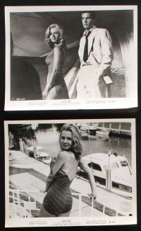 1e538 ANGEL BABY 12 8x10 stills '61 George Hamilton & Burt Reynolds with sexy Salome Jens!