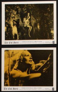 1e511 EVIL FOREST 13 8x10 stills '55 Spanish Parsifal, Richard Wagner, search for the Holy Grail!