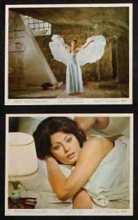 1e060 GHOSTS - ITALIAN STYLE 9 color 8x10 stills '68 Questi fantasmi, sexy Sophia Loren!