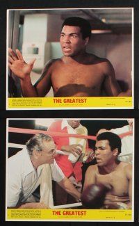 1e081 GREATEST 8 8x10 mini LCs '77 great images of heavyweight boxing champ Muhammad Ali!