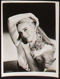 1e653 MARIA SCHELL 9 8x10 stills '50s great images of the pretty Austrian actress!