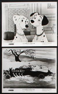 1e773 ONE HUNDRED & ONE DALMATIANS 7 8x10 stills R69 most classic Walt Disney canine family cartoon