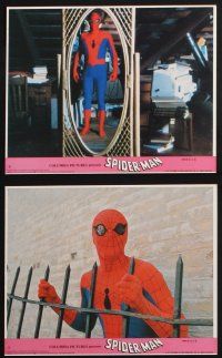 1e108 SPIDER-MAN 8 8x10 mini LCs '77 Marvel Comic, great image of Nicholas Hammond as Spidey!