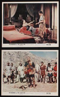 1e245 WARRIOR & THE SLAVE GIRL 4 color 8x10 stills '58 Gianna Maria Canale, mightiest Italian epic!