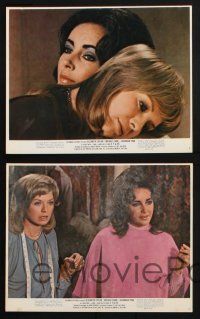 1e231 X Y & ZEE 5 color 8x10 stills '71 Elizabeth Taylor, Michael Caine, Susannah York!