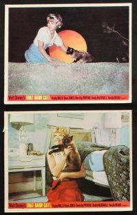 1e117 THAT DARN CAT 8 color English FOH LCs '65 great images of Hayley Mills & Disney Siamese feline