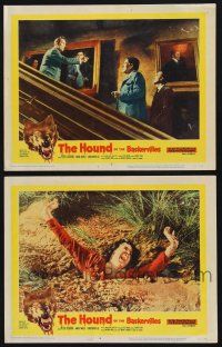 1g949 HOUND OF THE BASKERVILLES 2 LCs '59 cool images of Peter Cushing, Christopher Lee!