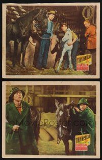 1g988 THUNDERHEAD - SON OF FLICKA 2 LCs '44 Roddy McDowall, Rita Johnson & horses!