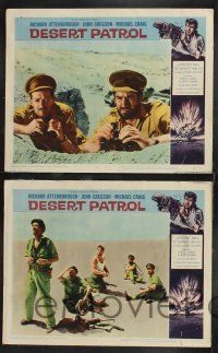 1g122 SEA OF SAND 8 LCs '62 Richard Attenborough, John Gregson, WWII in north Africa!
