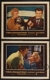 1g682 I DIED A THOUSAND TIMES 5 LCs '55 Mad Dog Earle Jack Palance & sexy Shelley Winters!