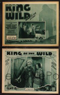 1g256 KING OF THE WILD 8 chapter 2 LCs '31 Walter Miller, Nora Lane, The Tiger of Destiny!