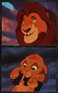 1g624 LION KING 6 color 11x14 stills '94 classic Disney cartoon set in Africa, great images!