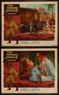 1g320 NAKED JUNGLE 8 LCs R60 Charlton Heston & Eleanor Parker, produced by George Pal!
