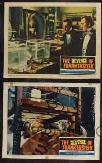 1g803 REVENGE OF FRANKENSTEIN 4 LCs '58 Hammer English horror, Peter Cushing, Francis Matthews!