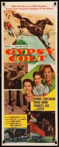 1j582 GYPSY COLT insert '54 Ward Bond, Frances Dee, young Donna Corcoran & wild stallion!