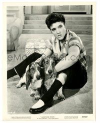 1m501 JAILHOUSE ROCK 8x10.25 still '57 great c/u of Elvis Presley witht two cute Basset Hound dogs!