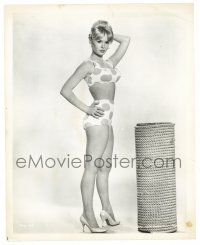 1m528 JOEY HEATHERTON 8x10 still '63 in sexy polka dot bikini when she was in Twilight of Honor!