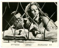 1m917 THUNDERBALL 8x9.75 still '65 c/u of Sean Connery as James Bond & sexy Luciana Paluzzi in bed!