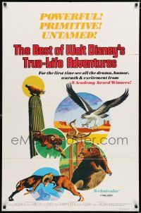 1p067 BEST OF WALT DISNEY'S TRUE-LIFE ADVENTURES 1sh '75 powerful, primitive, cool animal art!