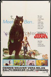1p329 GENTLE GIANT 1sh '67 Dennis Weaver, great full-length art of boy with big grizzly bear!