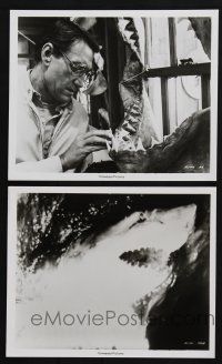 1x976 JAWS 2 8x10 stills '75 Roy Scheider inspects huge shark jaw, image of massive Great White!