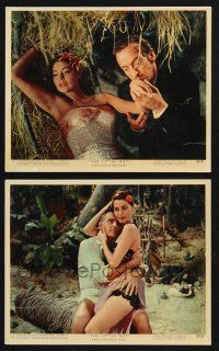 1x102 LITTLE HUT 2 color 8x10 stills '57 sexy tropical Ava Gardner, Stewart Granger, David Niven!