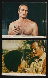 1x105 OMEGA MAN 2 8x10 mini LCs '71 barechested Charlton Heston with drink & sexy Rosalind Cash!