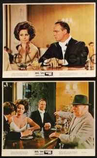 1x083 COUNTESS FROM HONG KONG 3 color 8x10 stills '67 Marlon Brando and sexy Sophia Loren!