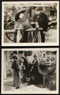 1x736 DEVIL IS A WOMAN 6 8x10 stills '35 Marlene Dietrich, Lionel Atwill, Josef von Sternberg