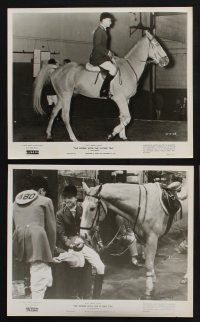 1x745 HORSE WITH THE FLYING TAIL 6 8x10 stills '60 Walt Disney Olympic Equestrian Team documentary!