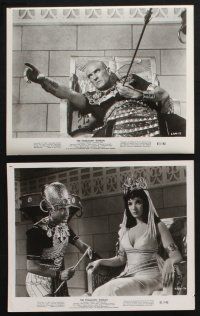 1x322 PHARAOHS' WOMAN 14 8x10 stills '61 La donna dei faraoni, sexy Linda Cristal in the title role!
