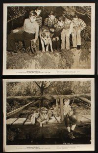 1x356 RETURN OF RUSTY 13 8x10 stills '46 great images of boy and his beloved German Shepherd dog!