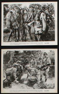 1x513 SCREAMING EAGLES 10 8x10 stills '56 the untold story of the 101st Airborne's Hell Raiders!