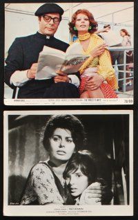 1x560 SOPHIA LOREN 9 8x10 stills '50s-70s the beautiful Italian actress over the decades!